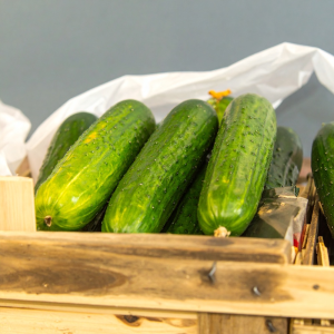 photograph of cucumber marketmor 76562 28t