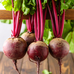 photographs of beet detroit dark 435366 Y7N